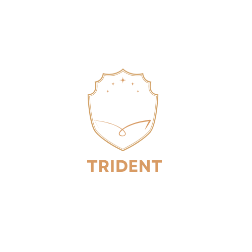 Company Logo Design 8